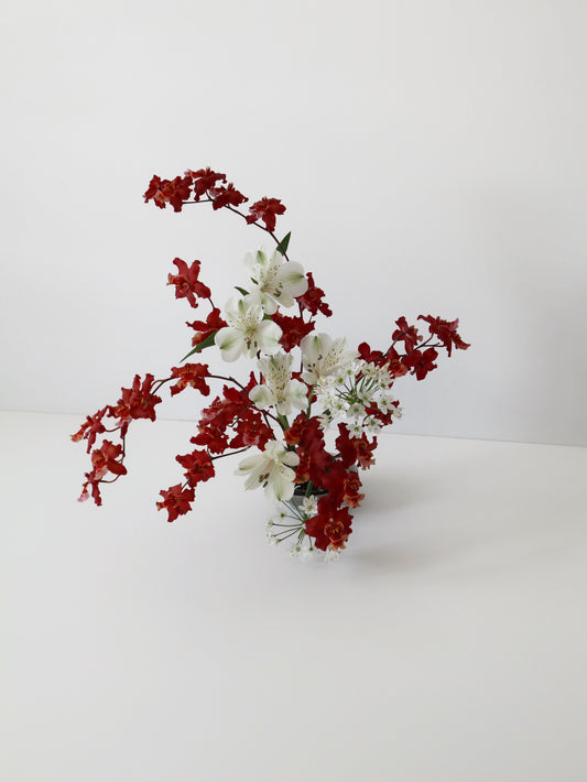 オンシジウム フルデュエン 'ファイアクラッカー'